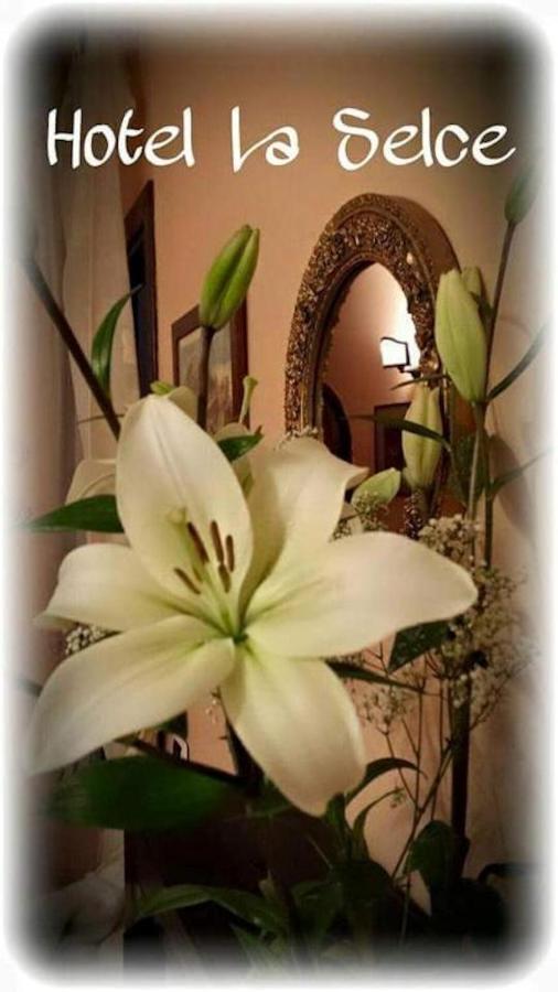 Hotel La Selce Monselice Extérieur photo